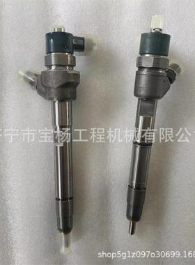 0433172487共轨喷油器0445110293 0445110407喷油嘴总成
