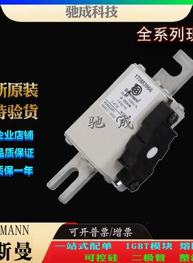 巴斯曼170M3973 170M3974 170M3975 厂价供应销售 快速保险丝