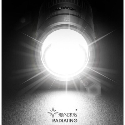 Rechargeable Flash Anti-Wolf Artifact Flashlight Arc Alarm