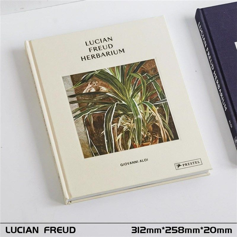 抽象油画装饰真书中古侘寂风样板间会所书房茶几英文艺术书籍摆件,家居饰品,装饰摆件,淘宝优惠券,粉丝福利购,淘宝优惠卷