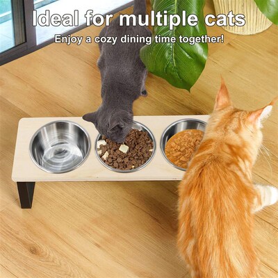 Elevated Cat Bowls Feeder 15 Tilted Raised Feeding & Water