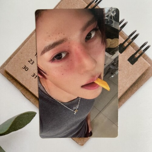 NCTWISH首尔安可场sion幸运卡
