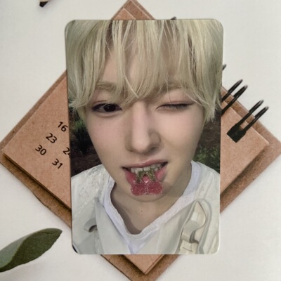 NCTWISHsakuya专辑配置小卡