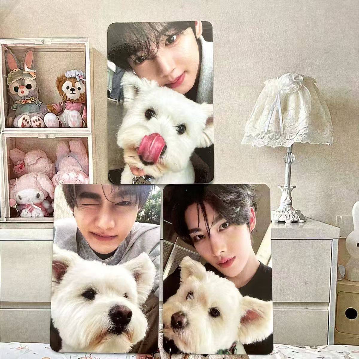 zb1正规一NEVERSAY团封小狗卡