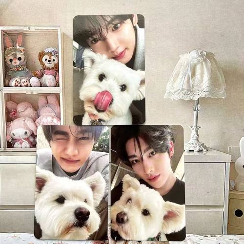 zb1正规一NEVERSAY团封小狗卡