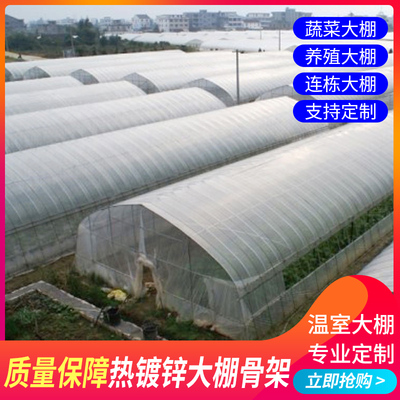 养殖大棚全养鸡棚鸡舍猪棚牛棚羊棚鸭棚鹅棚养殖棚专用大棚骨架