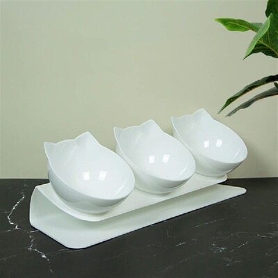 Cat Dog Feeder 15 Tilted Raised Drinking Water Bowl for