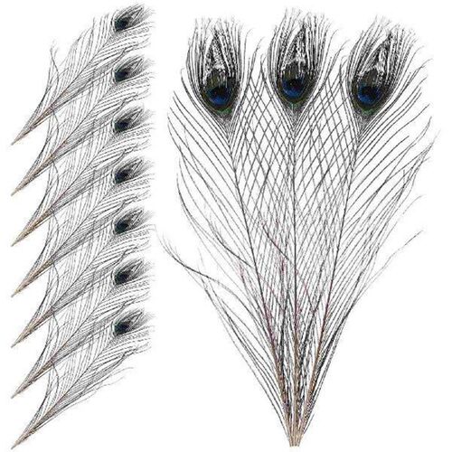10 Pcs Decor Peacock Vase Decorative Plumes Filling Party