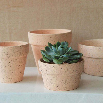 Desktop green plant red pottery pot large diameter clay pot