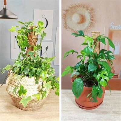 Plant Vine Traction Climbing t Natural Coconut Palm Rod