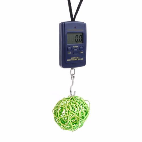 40kg/10g Mini Digital Handy Scales 适用于 Fishing Portable E