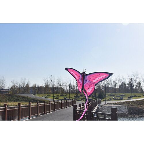 free shipping butterfly kites flying toys for children kite