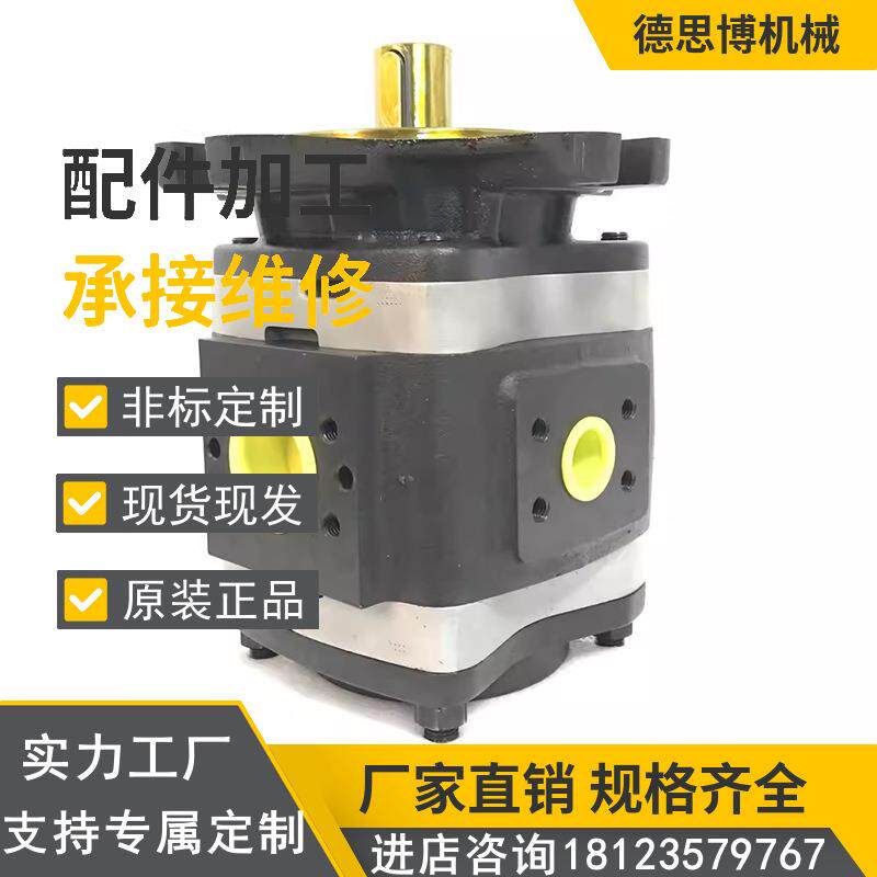 德国进口福伊特齿轮泵VOITH IPVP3-5-101液压油泵 油泵