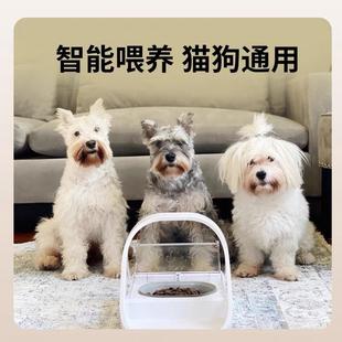 surefeed芯片识别感应喂食器多猫家庭自动分餐宠物猫碗保鲜防虫