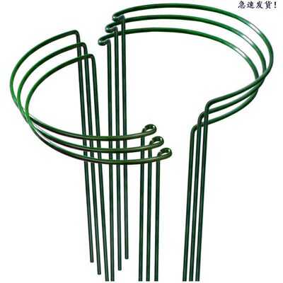 Flower Support Frame Flower Climbing Seasonal Plant Holder P