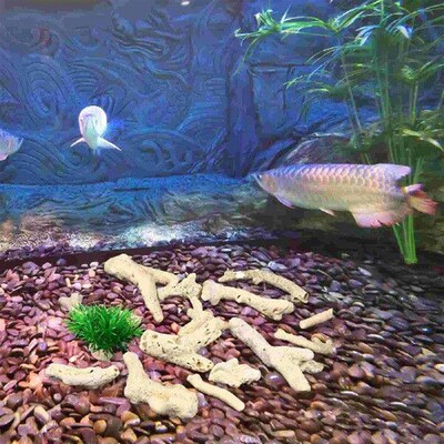 3 -10CM500g Fish Tank Big Coral Bone Strainer Air Filters
