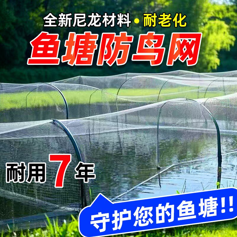 鱼塘防护鸟加粗大网孔池塘泥鳅青蛙龙虾养殖天网尼龙网鸟罩子大鸟