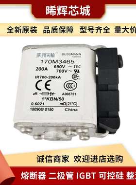 170M3142  170M3143库存充足现货低压快速熔断器标准封装