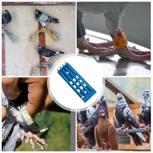 Bird Leg Ring Stand Racing Bird Ring Storage Rack Stand