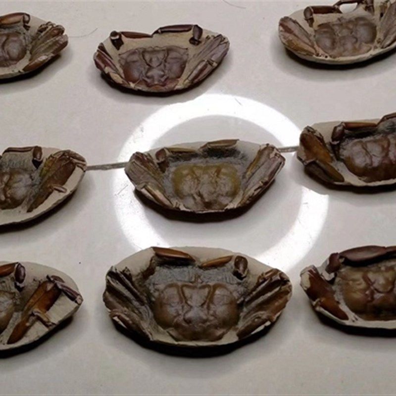 如意斋石器古生物化石螃蟹自然明天然原石蟹奇石矿物晶体原石科普,家居饰品,国学摆件,淘宝优惠券,粉丝福利购,淘宝优惠卷