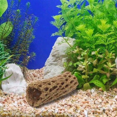 Shrimp nest simulation Penang wood Shrimp Hideout Fish