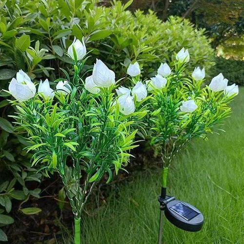 Solar Energy Gardenia Light Lawn Landscape Courtyard