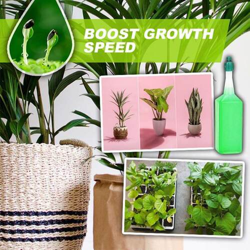 38ml Hydroponic Plant Nutrient Solution Fertilizer Bamboo Fl
