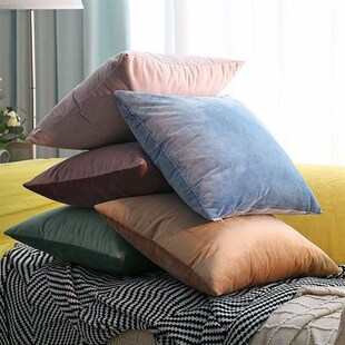 Solid-colored throw pillows Pink Cushions velvet backrest