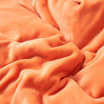 Fleece Autumn Winter Warm Blankets Bed Thicken Duvet Cover
