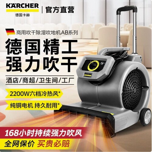德国卡赫 AB40 商用吹地机大功率地面吹干机酒店商场厕所地毯除湿