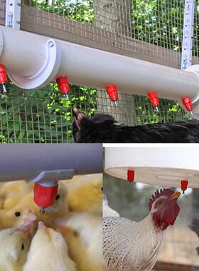 Chicken Waterer Nipple Drinkers Quail Pigeon Bird Waterer Ni