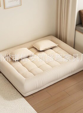 Tatami retractable sofa bed dual purpose folding lazy sofa