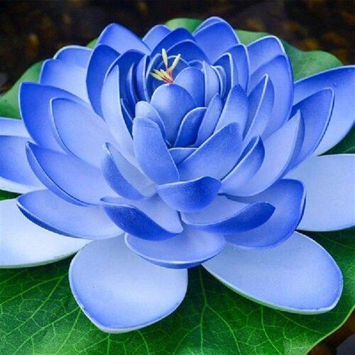 Realistic Water Lilies Flower Portable Flower for Indoor