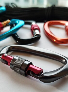 25KN Professional Climbing Carabiner D Shape Aviation Alumin