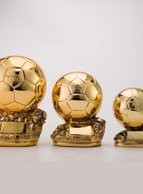 Golden Globe Resin Cup Football Competition Award Presentat