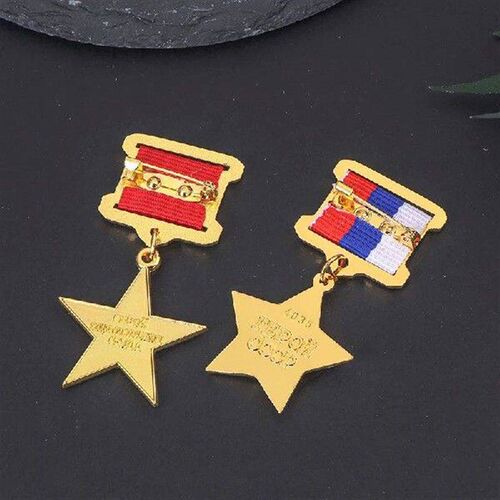 Russian USSR Pins Brooches Badges Souvenir Collection The
