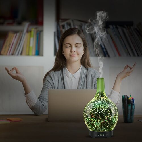 Aromatherapy Essential Oil Diffuser 3D Glass Vase Aroma Diff