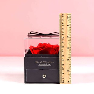 Dried Flowers Rose Flowers Tanabata Gift Acrylic Single Rose