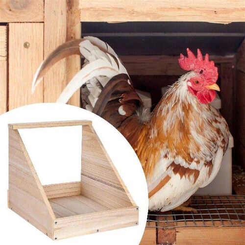 Single Compartment Hens Nesting Box Large for Poultry Farm
