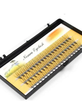 1 Box/60 Packs Of Fake Eyelashes 10/20/30D, Personal Mink Na