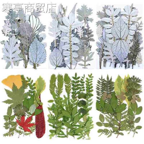 2023 New 1Bag Dried Flowers Plant Pressed Flower Resin Mold