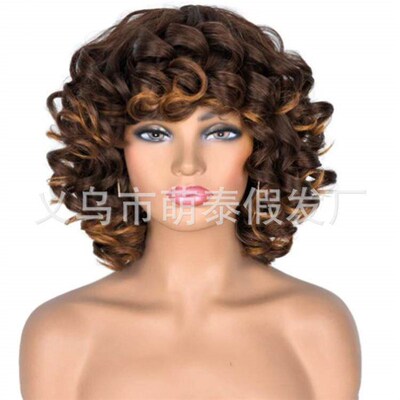 Mengtai Wig Womens Mixed Color Highlight Short Curly Hair