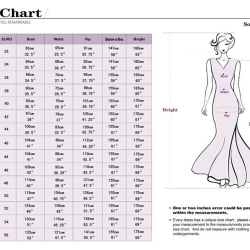 SoDigne Modern Organza Wedding Dress 2023 One Shoulder A Lin
