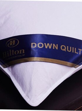Pillow Healthy pillows feather velvet hotel pillow for bed