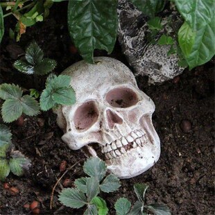 Spooky Campfire Decor Halloween Skull Statue Realistic Life