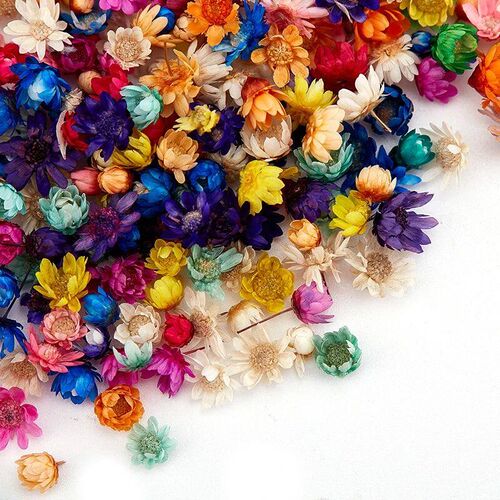 200or100 Pcs Dried Flowers For Epoxy Resin DIY Art Craft Can