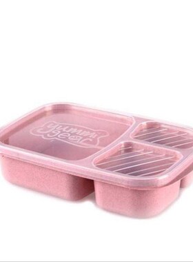 Bento Lunch Box Picnic Fruit Food Container Storage Boxes
