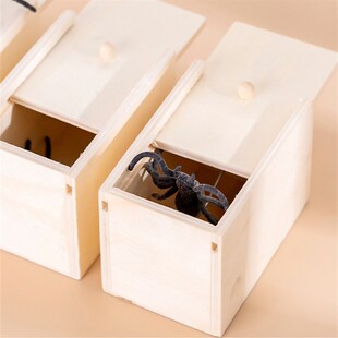 2Boxs Box Party Fav Spider Halloween Scary Prank Wooden Toys