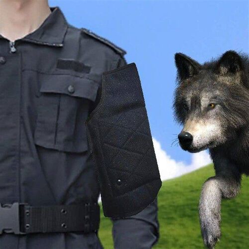 Dog Training Sleeve Wear Resistant Professional Pull Toy