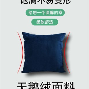 Pillow cushion sofa cushion office waist pillow cover core